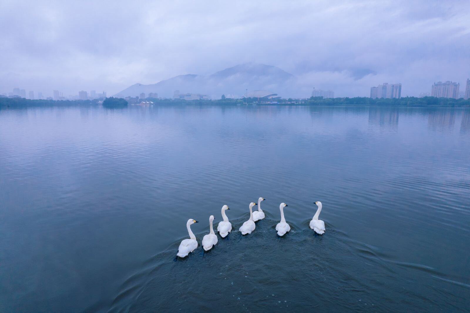灵湖景区