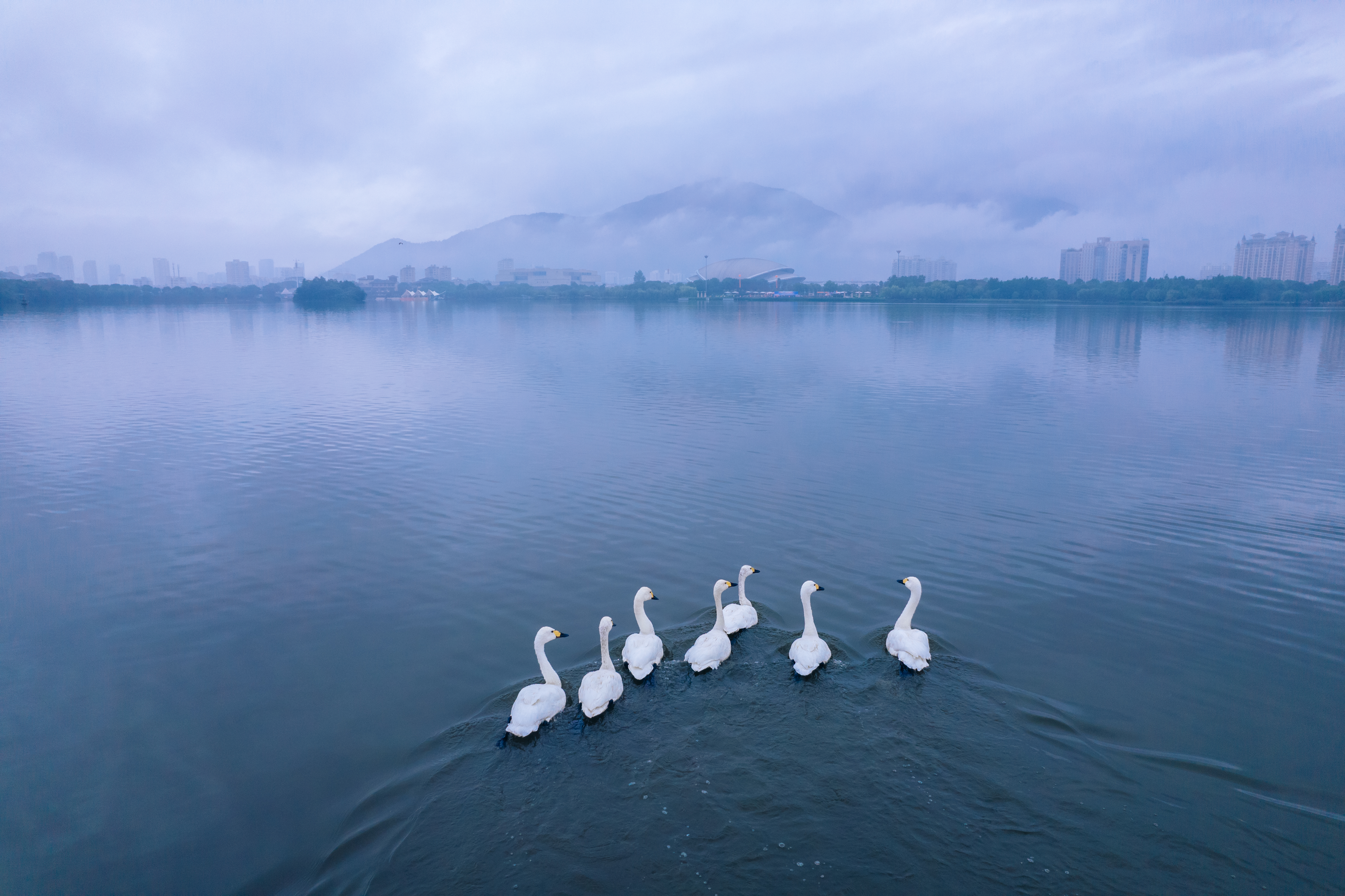 DJI_0467.jpg